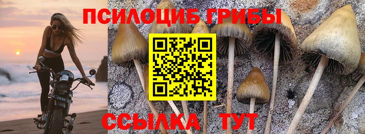 КОКАИН Амурск